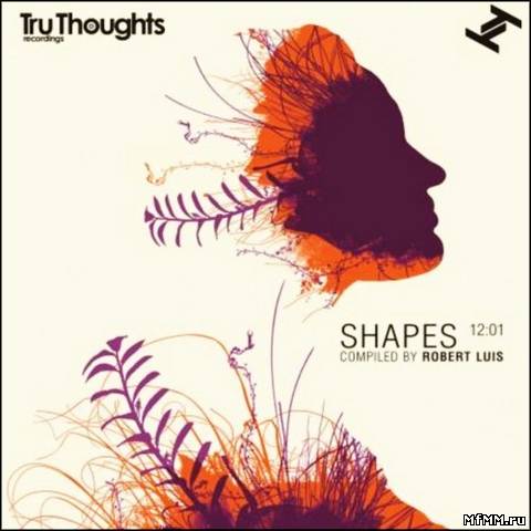 VA - Shapes 12:01 (Compiled By Robert Luis) (2012)