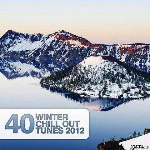 VA - 40 Winter Chill Out Tunes (2012)