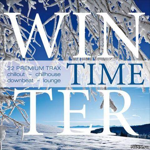 VA - Winter Time (2012)