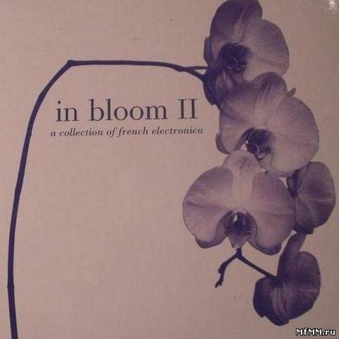 VA - In Bloom II - A Collection Of French Electronica (2003)