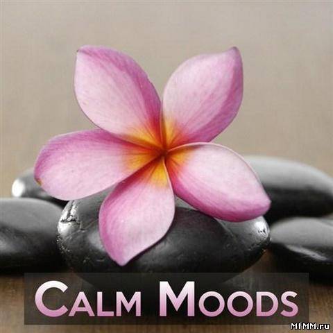 VA - Calm Moods (2013)