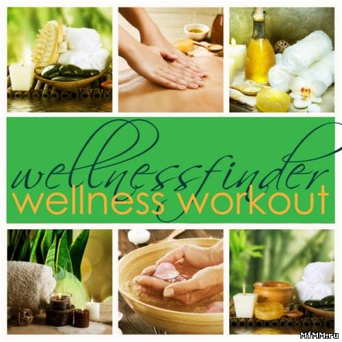 VA - Wellnessfinder - Wellness Workout (2011)