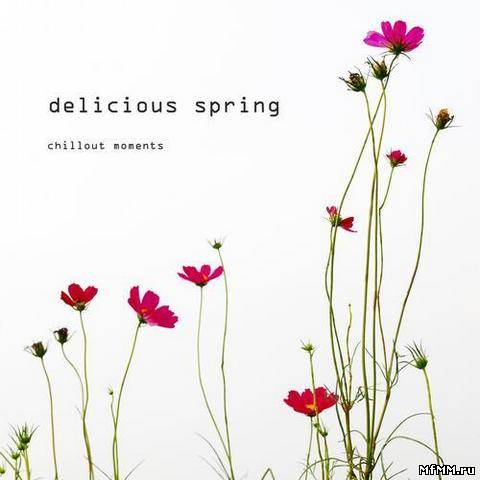 VA - Delicious Spring - Chillout Moments (2013)