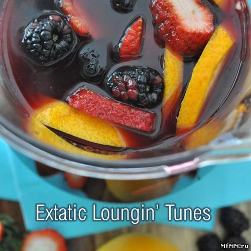 Extatic Loungin Tunes (2013)