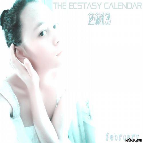 The Ecstasy Calendar 2013 February (2013)