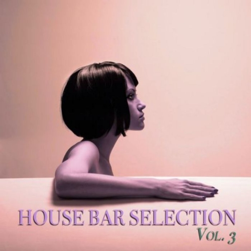 VA - House Bar Selection Vol.3 (2013)