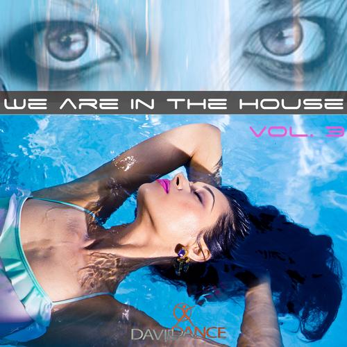 We Are in the House Vol 3 (2013)