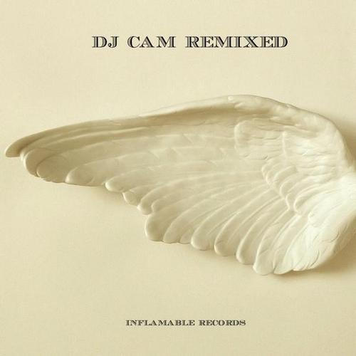 DJ Cam – Remixed (2013)