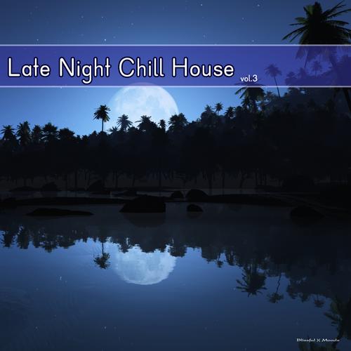 Late Night Chill House Vol 3 (2013)