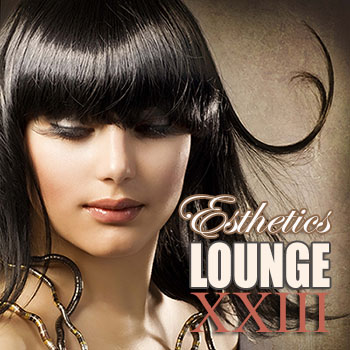 VA - Esthetics Lounge XXIII (2013)