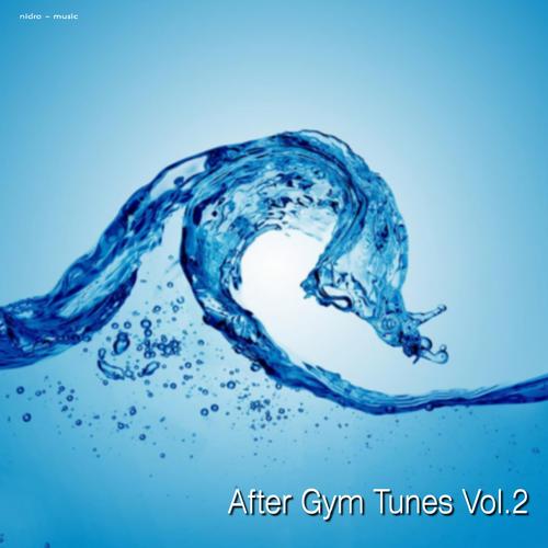 VA - After Gym Tunes Vol. 2 (2013)