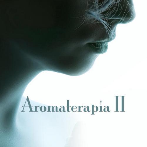 The Harmony Group - Aromaterapia II (2013)