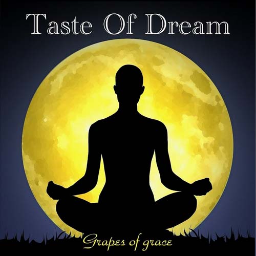 Taste Of Dream - Grapes Of Grace (2013)