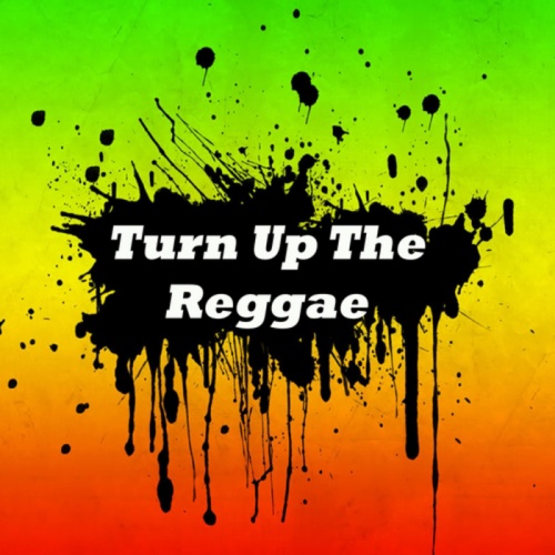 VA - Turn Up the Reggae (A Spicy Dancehall Reggae Mix) (2013)