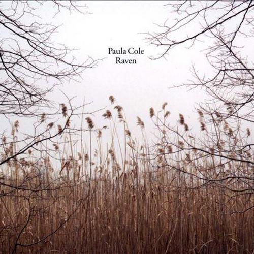 Paula Cole - Raven (2013)