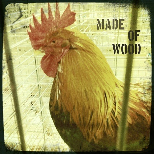 Made of Wood – Birds of the State Fair (2013)