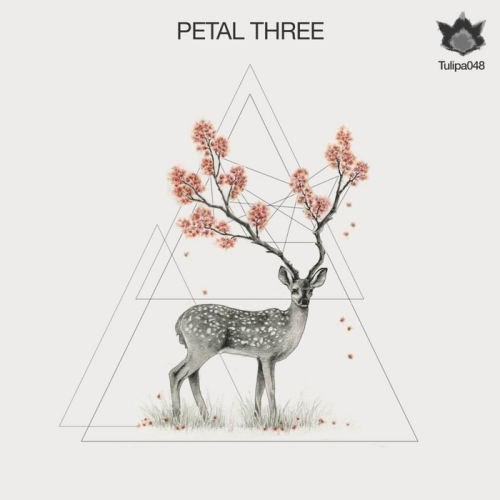 VA - Petal Three (2013)