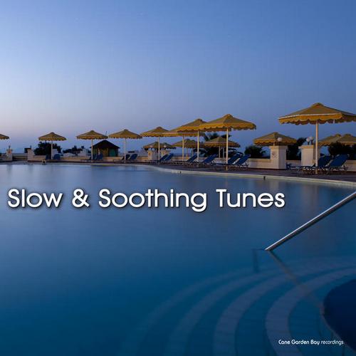 Slow and Soothing Tunes (2013)