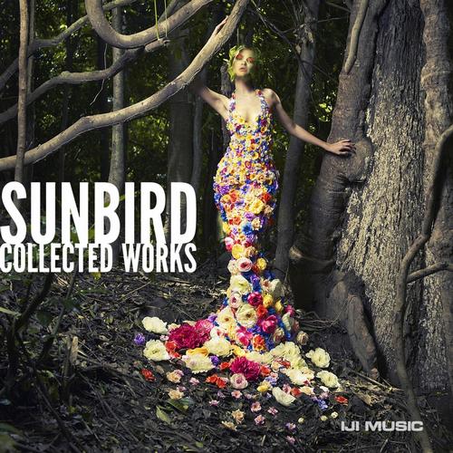 Sunbird - Collected Works (2013)