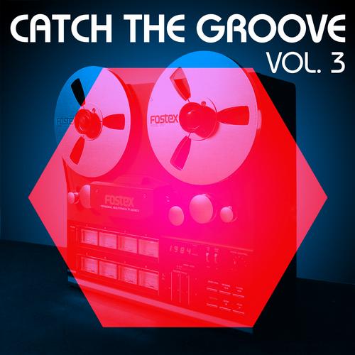 Catch the Groove Vol 3 (2013)