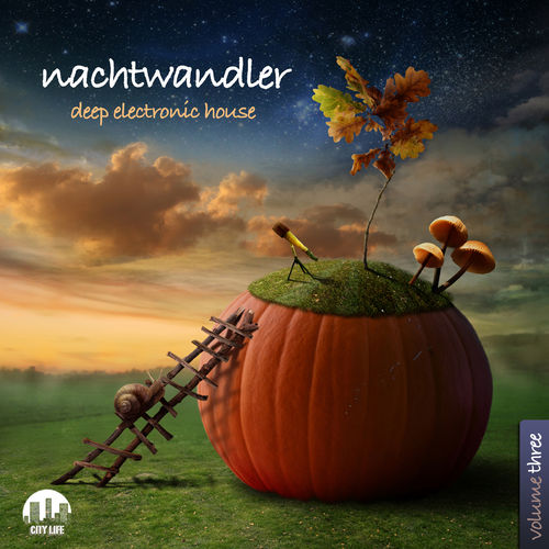 Nachtwandler Vol 3 Deep Electronic House (2013)