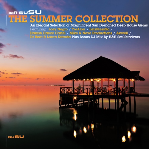 VA - Bar Susu - The Summer Collection (2013)