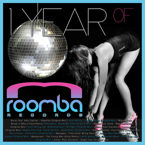 1 Year of Roomba Records (2013)