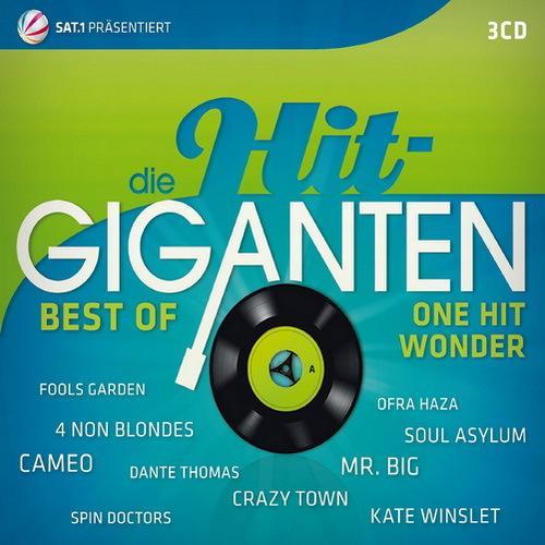 Die Hit Giganten - Best of One Hit Wonder (2013)