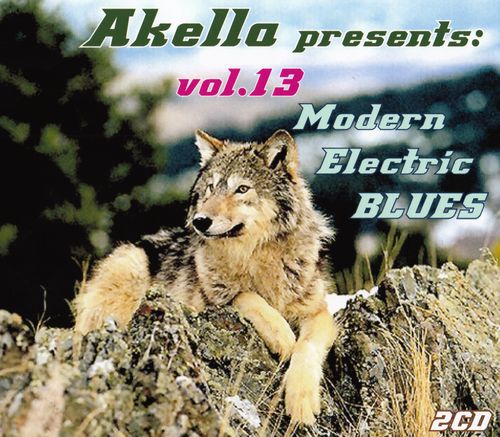 VA - Akella Presents - Vol.13 (2013)