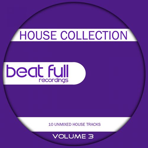 Beat Full House Collection Volume 3 (2013)