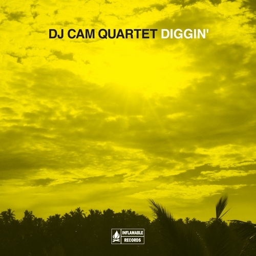 DJ Cam Quartet - Diggin' (2009) 320 kbps