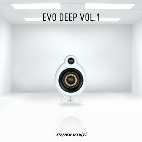 VA - Evo Deep Volume 1 (2013)