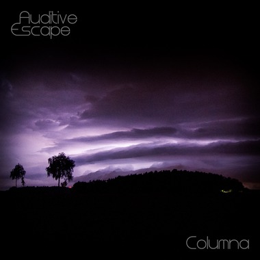 Auditive Escape - Columna (2013)