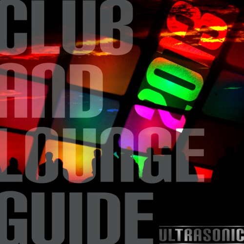 VA - Club & Lounge Guide 2013 (2013)