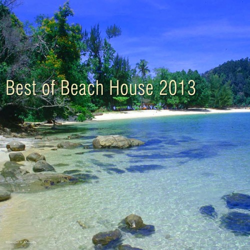 VA - Best Of Beach House 2013 (2013)