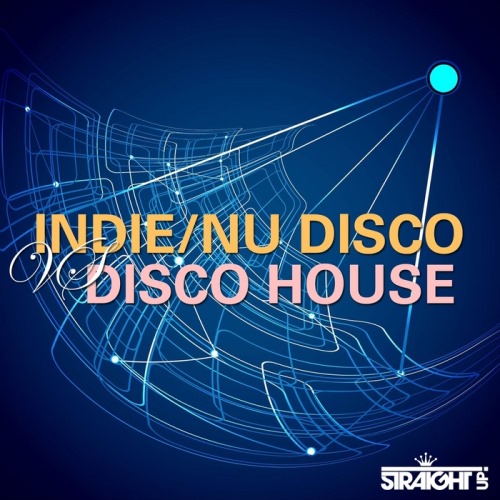 VA - Indie Nu Disco vs Disco House (2013)