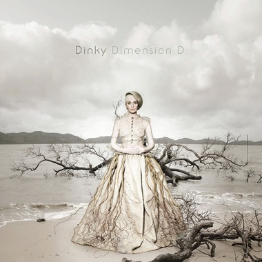 Dinkу - Dimеnsiоn D (2013)