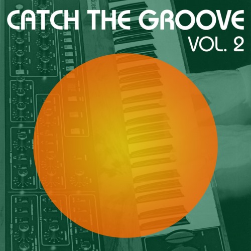 VA - Catch the Groove, Vol. 2 (2012)