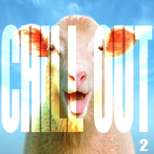 VA - Chill Out Vol 2 (Brownsville Ambient White Sheep Pre Election)(2013)