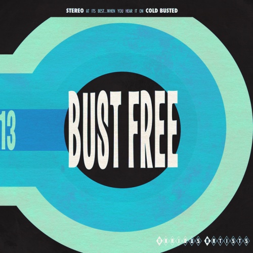 VA - Bust Free 13 (2013)