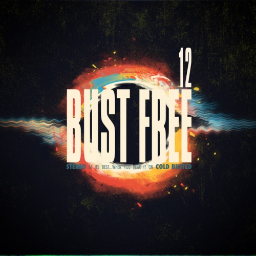 VA - Bust Free 12 (2013)