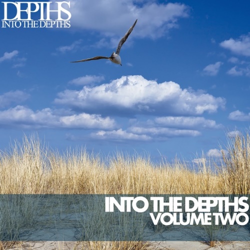 VA - Into The Depths Vol Two: Essential Deep House Selection (2013)