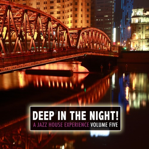 VA - Deep In The Night Vol.5 - A Jazz House Experience (2013)