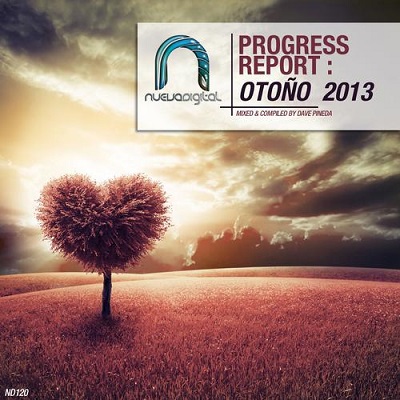 Progress Report: Otono 2013 (2013)