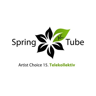 Artist Choice 15. Telekollektiv (2013)