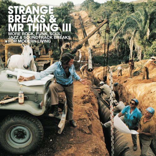 VA - Strange Breaks & Mr Thing 3 (2014)