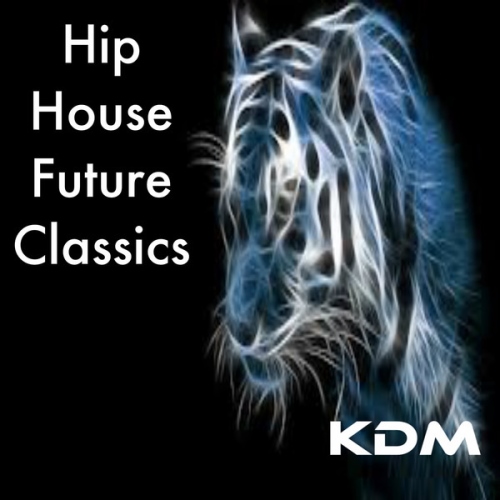 VA - Hip House Future Classics (2014)