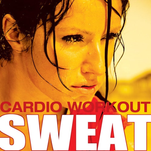 VA - Sweat - Cardio Workout (2014)