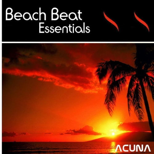 VA - Beach Beat Essentials (2014)