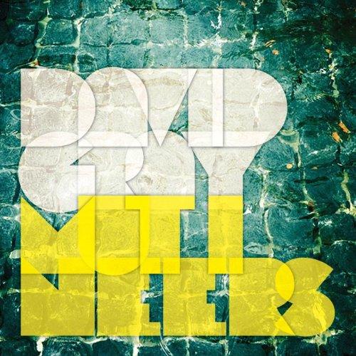 David Gray - Mutineers (2014)